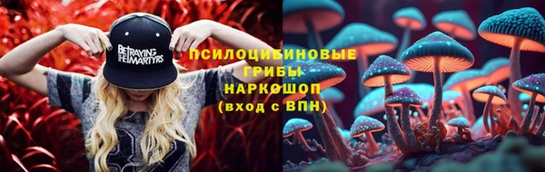 трава Переславль-Залесский